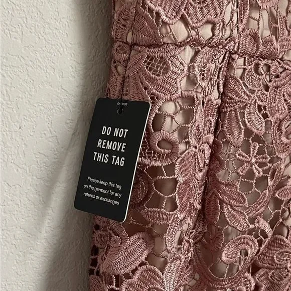 Express Lace Mini Cocktail Dress - Nude & Mauve - Size 00 - Picture 5 of 5